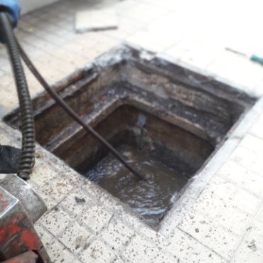 Destapacion de tapa cloacal